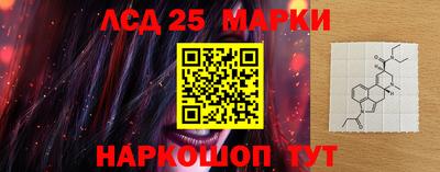 гидра Ставрополь
