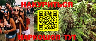 гидра Ставрополь