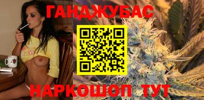 гидра Ставрополь